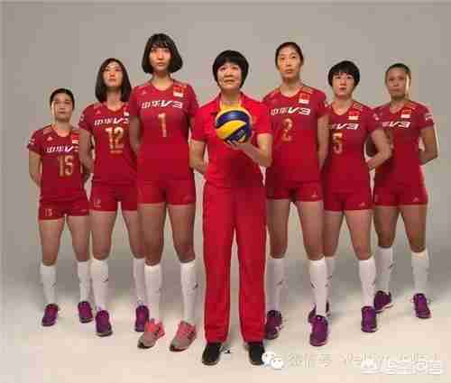 女排杨希兰图片(女排杨希兰哪里人)-第8张图片 女排杨希兰图片(女排杨希兰哪里人)-第8张图片