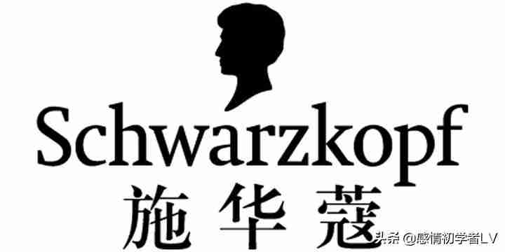 生姜洗发水什么牌子好（全球最好的洗发水品牌排行榜）-第4张图片