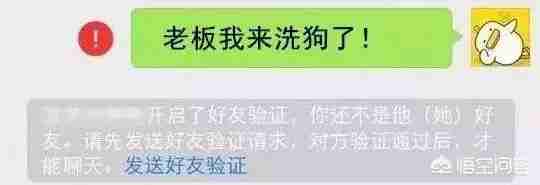 匈牙利牧羊犬图片（匈牙利长毛牧羊犬）-第10张图片