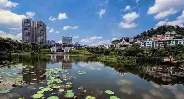 龙岩旅游景点大全排名（福建省龙岩市龙岩旅游景点大全）-第5张图片