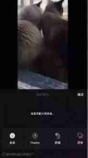 抖音编辑软件哪个好（新手制作短视频教程）-第5张图片