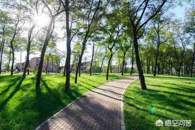大连理工大学就业网登录（大连理工大学就业网首页）-第3张图片