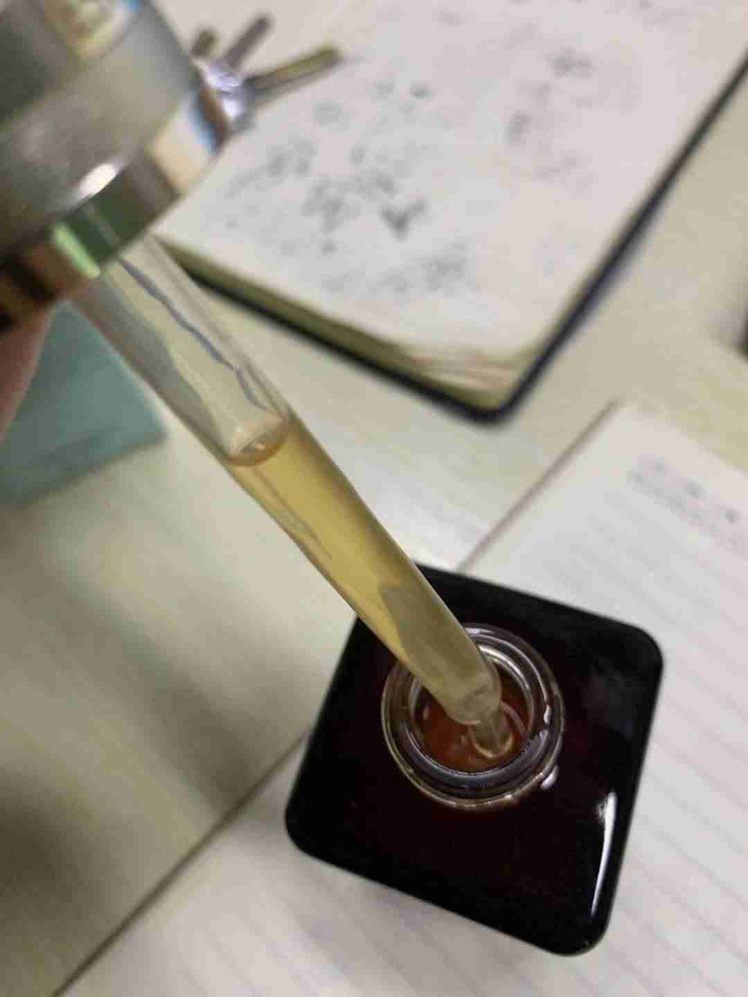 雅诗兰黛即时修护特润精华露怎么用（抗皱紧致精华排名）-第13张图片
