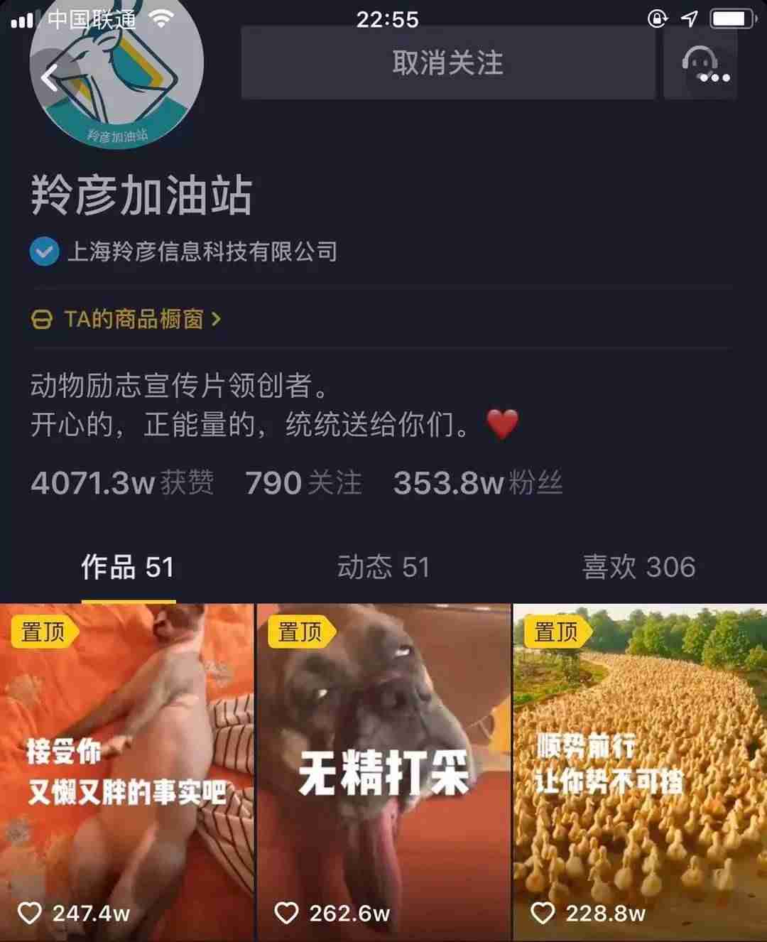 抖音直播号怎么看(直播账号购买方式)-第4张图片 抖音直播号怎么看(直播账号购买方式)-第4张图片