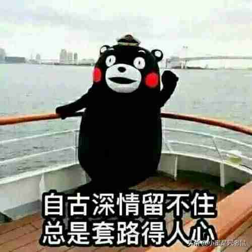 抖音视频完播率怎么计算（推广一般买播放量还是粉丝量）-第1张图片