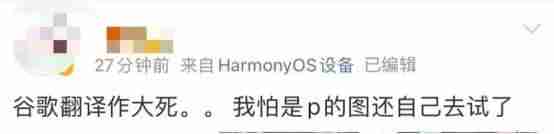 谷歌翻译出现恶毒攻击中国词汇（网友怒斥真恶心）-第9张图片