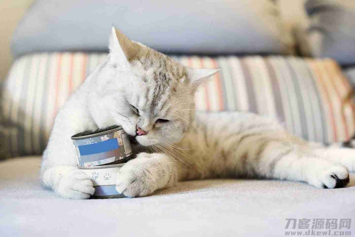 爱普士猫罐头怎么样（国产三大安全猫罐头）-第4张图片