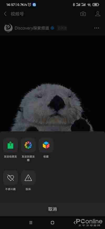 微信视频号入口消失了（微信视频号视频保存到手机）-第3张图片