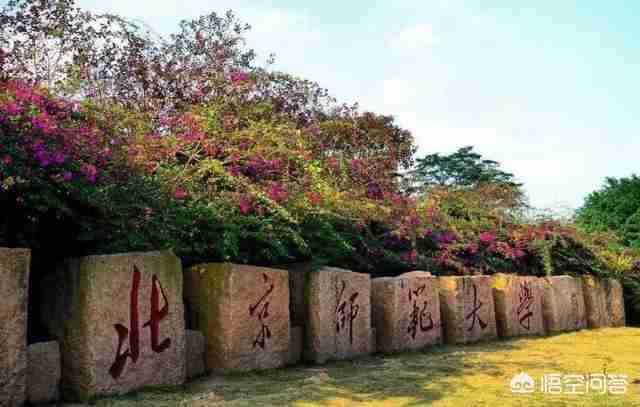 全国的985211大学名单排名（全国985211大学名单排名及所在地区）-第1张图片