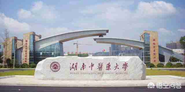 湖南中医药大学怎么样大学排名（安徽中医药大学怎么样大学排名）-第1张图片