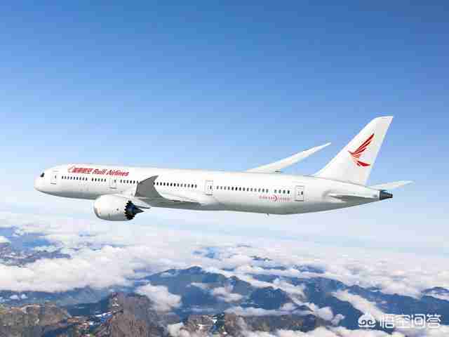 瑞士航空官网订票电话（瑞丽航空官网订票电话）-第8张图片