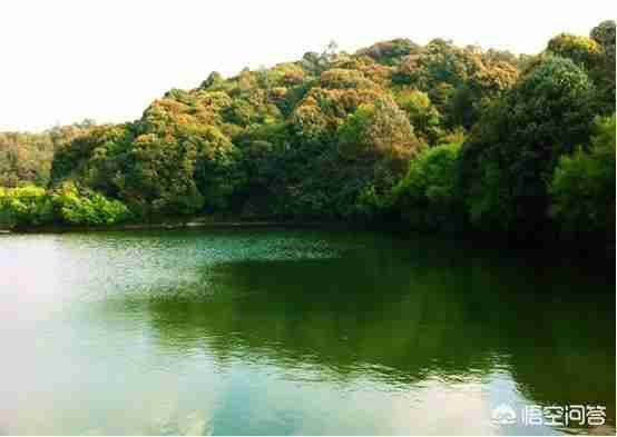 普洱景点最值得去的地方（普洱景点最值得去的地方图片）-第6张图片