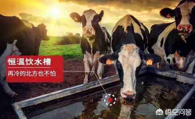 婴儿奶粉推荐知乎（婴儿奶粉知乎）-第8张图片