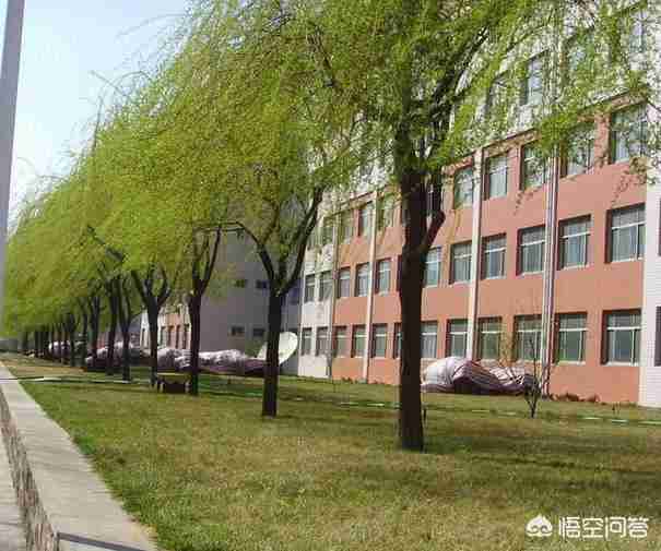 河池职业技术学院（河池市职业技术中心学校）-第2张图片