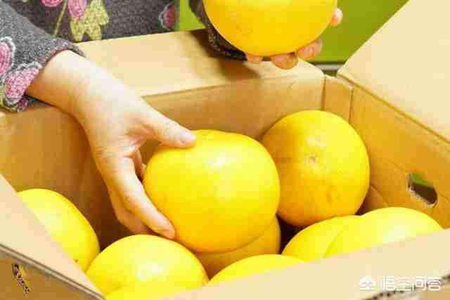 亚马逊功能饮料加盟（日加满功能饮料加盟好不好）-第9张图片