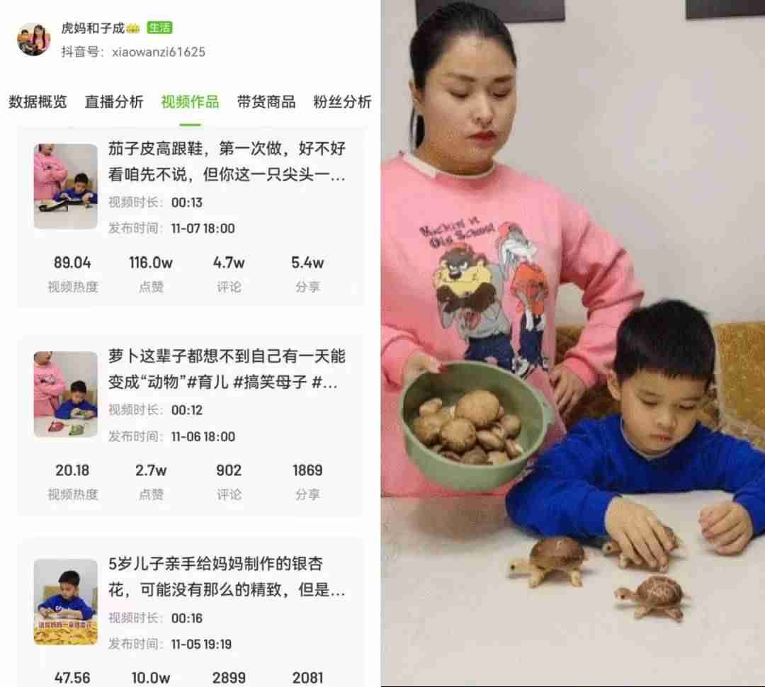 飞瓜数据分析平台(短视频大数据分析报告)-第4张图片 飞瓜数据分析平台(短视频大数据分析报告)-第4张图片