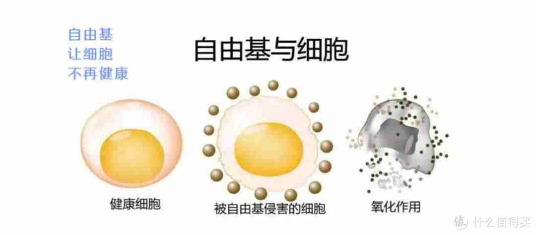 卡尼尔男士洁面乳怎么样（男士洁面乳排行榜）-第4张图片