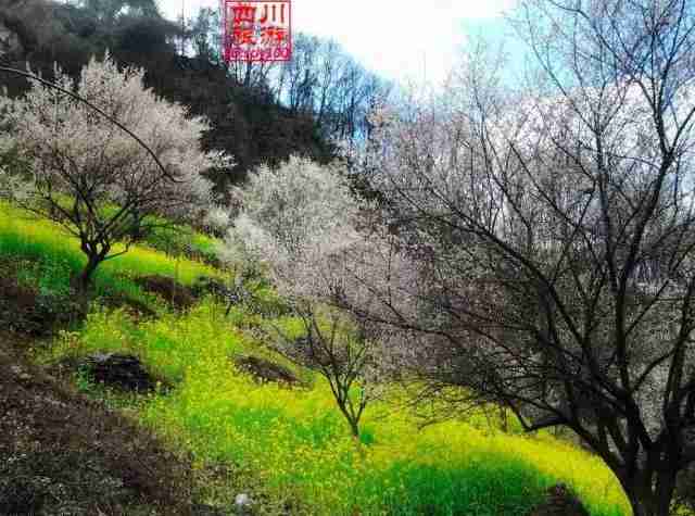 绵阳景点旅游景点推荐（绵阳景点旅游景点排名）-第8张图片