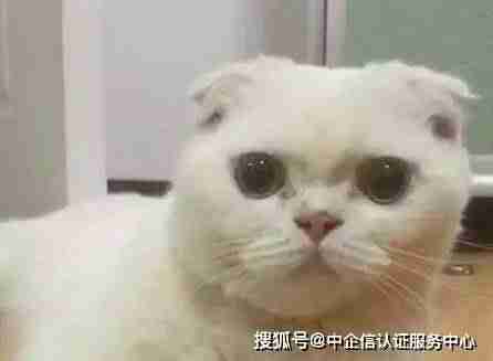 抖音达人排行榜在哪里看（抖音粉丝达人排行榜）-第9张图片