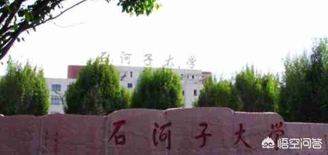 石河子大学爱视宽屏（石河子大学视传考研）-第1张图片