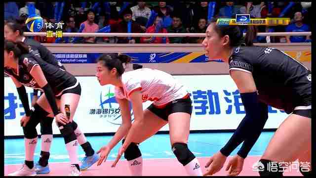 女排杨希兰图片(女排杨希兰哪里人)-第6张图片 女排杨希兰图片(女排杨希兰哪里人)-第6张图片