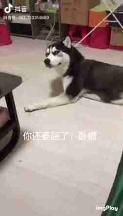 抖音初学者使用教程(抖音的制作方法和步骤)-第6张图片 抖音初学者使用教程(抖音的制作方法和步骤)-第6张图片