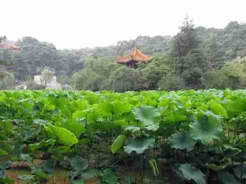 绵阳景点旅游景点推荐（绵阳景点旅游景点排名）-第24张图片