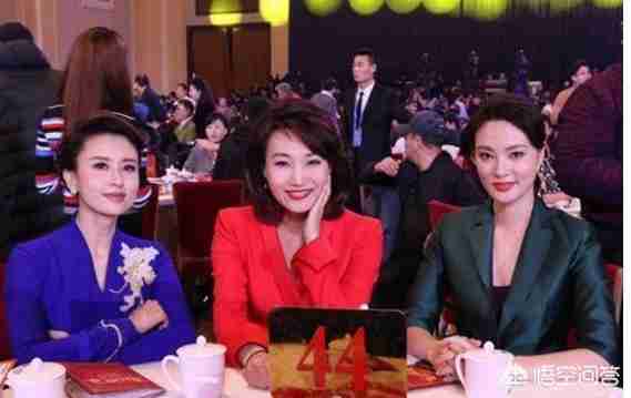 央视女主持人刘芳菲近况（央视女主持人刘芳菲）-第9张图片