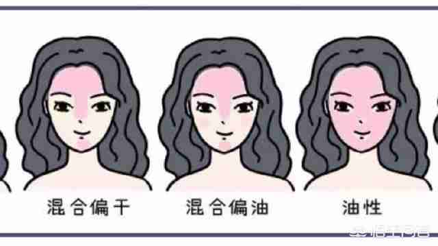 林清轩小红菊（林清轩小红菊系列）-第2张图片