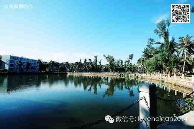 海口经济职业技术学院官网（海口经济职业技术学院的更名）-第4张图片