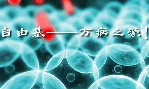 什么茶养胃对肠胃好（喝什么茶养胃）-第2张图片