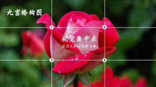 什么是构图要素（美术构图基础知识）-第1张图片