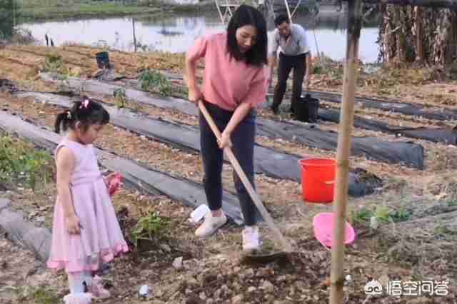 城市让生活更糟糕的观点（城市,让生活更糟糕）-第2张图片