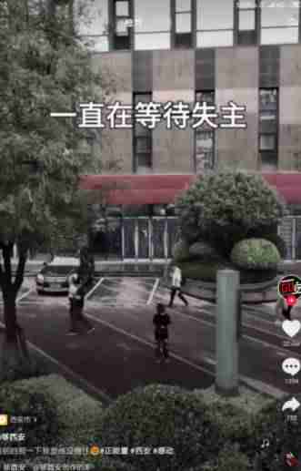 抖音教学收费哪种靠谱吗（抖音直播零基础入门）-第1张图片