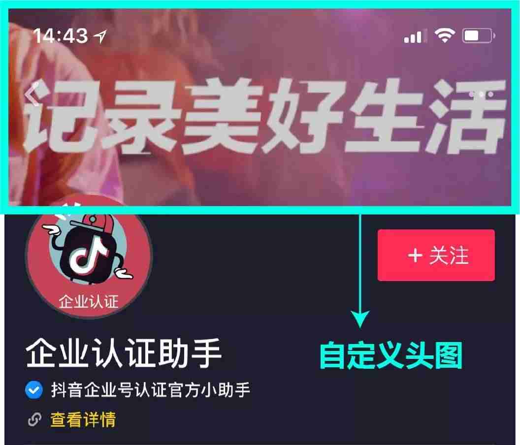 企业抖音号如何运营方案（抖音企业号使用方法）-第2张图片