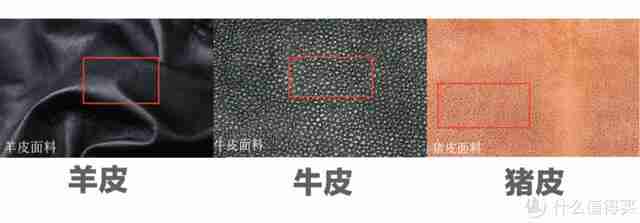 恒源祥家纺加盟（恒源祥家纺加盟店怎么加盟）-第15张图片