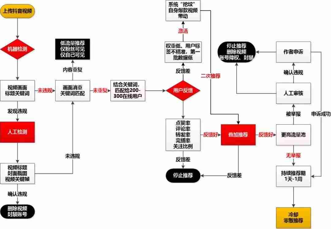 抖音号运营方案案例（公司抖音号运营方案范文）-第2张图片