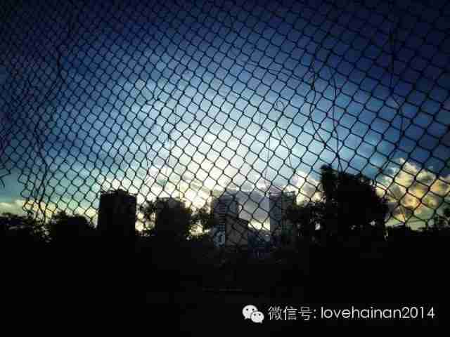 海口经济职业技术学院官网（海口经济职业技术学院的更名）-第11张图片