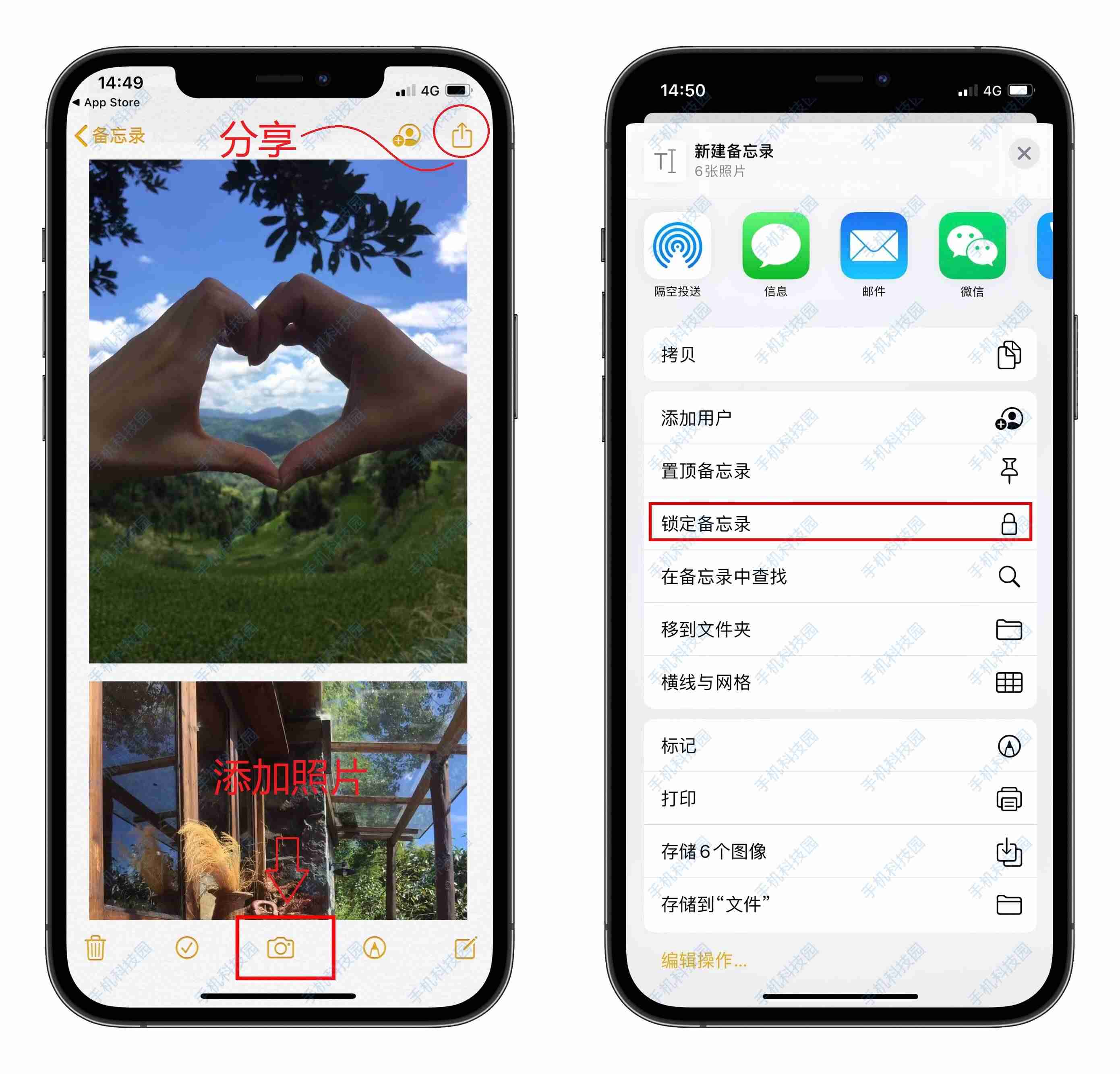 苹果手机怎么长截图方法（手机备忘录截长图的技巧）-第13张图片