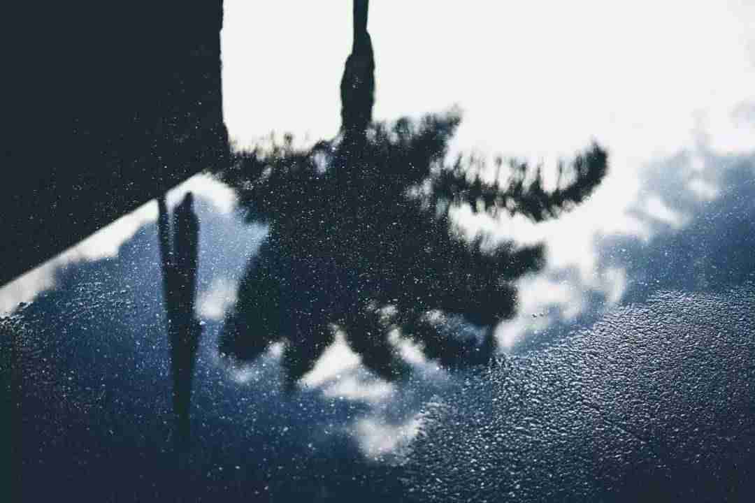 抖音视频怎么拍好看（新手拍抖音的步骤）-第5张图片
