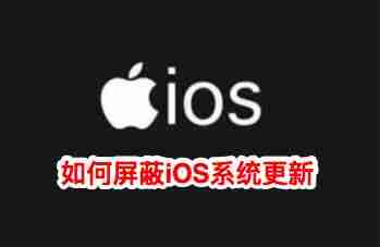 苹果怎么关闭自动更新系统提示（手机关闭升级设置办法）-第2张图片