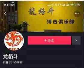 抖音增粉率怎么算（抖音吸引粉丝的昵称）-第5张图片