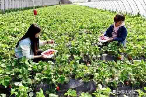 现在什么最赚钱投资小(投资小赚钱快的创业项目)-第3张图片 现在什么最赚钱投资小(投资小赚钱快的创业项目)-第3张图片
