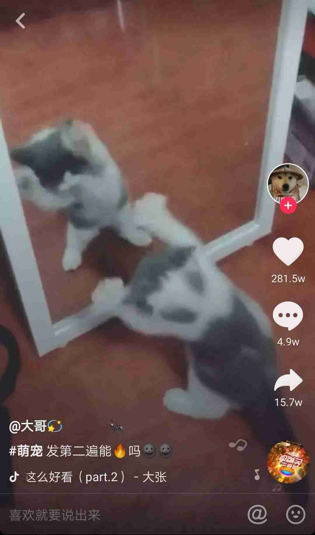 抖音长视频怎么发朋友圈（发抖音长视频有的要求）-第8张图片