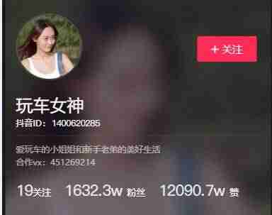 抖音增粉率怎么算（抖音吸引粉丝的昵称）-第3张图片