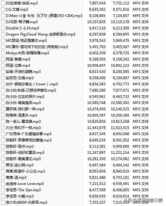 近期抖音歌曲合集（抖音2021最火串烧DJ）-第13张图片