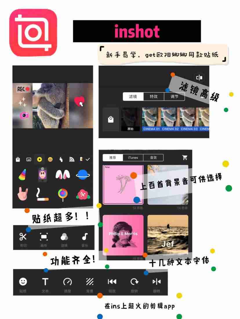 抖音短视频剪辑软件哪个好用（不收费无水印的视频剪辑软件推荐）-第3张图片