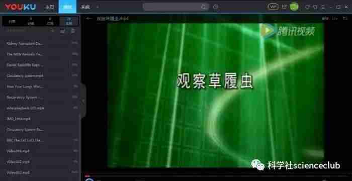 qlv格式转换成mp4转换器(腾讯qlv转换mp4最简单方法)-第14张图片 qlv格式转换成mp4转换器(腾讯qlv转换mp4最简单方法)-第14张图片