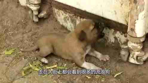 闲鱼赚钱靠谱吗(用闲鱼赚钱盈利技巧)-第2张图片 闲鱼赚钱靠谱吗(用闲鱼赚钱盈利技巧)-第2张图片