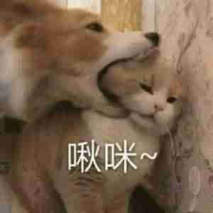 抖音短视频剪辑软件哪个好用（不收费无水印的视频剪辑软件推荐）-第7张图片